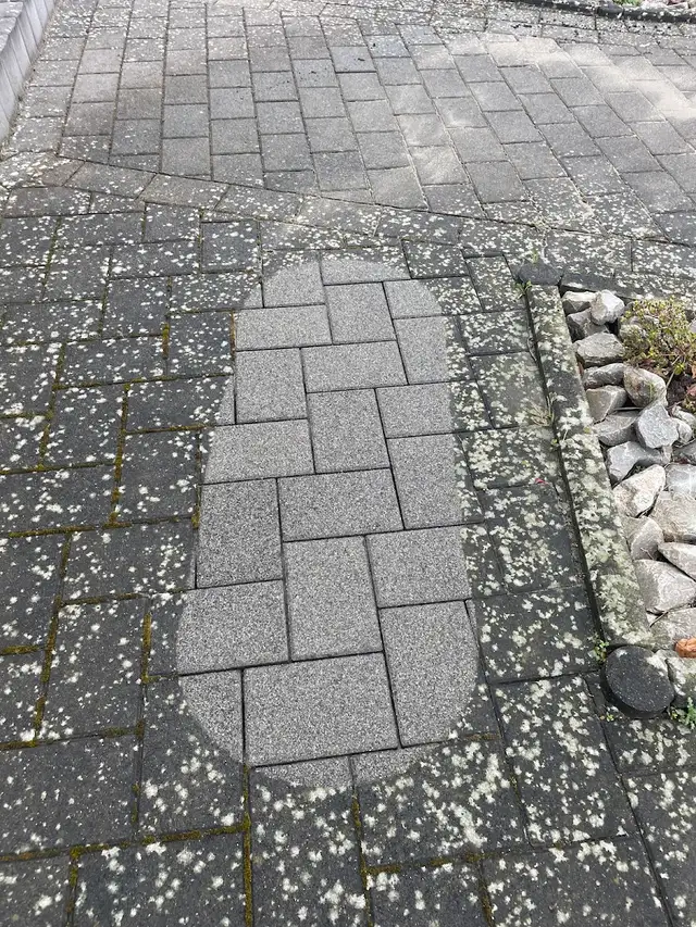 Gereinigtes Pflaster, Terrasse und Hoffläche im Lahn-Dill-Kreis (16)