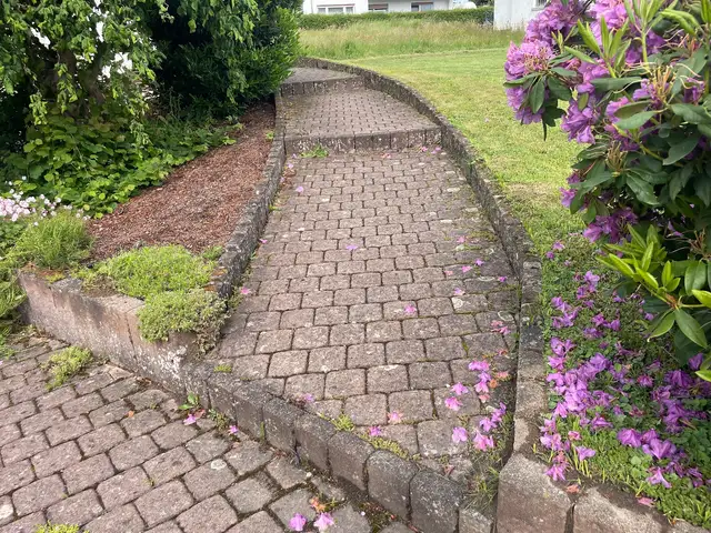 Gereinigtes Pflaster, Terrasse und Hoffläche im Lahn-Dill-Kreis (23)