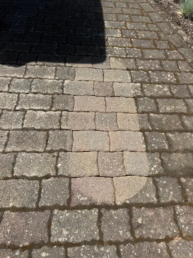 Gereinigtes Pflaster, Terrasse und Hoffläche im Lahn-Dill-Kreis (32)