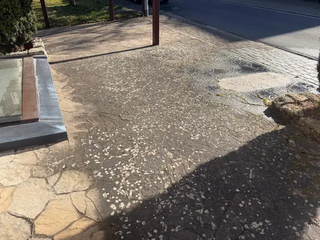 Gereinigtes Pflaster, Terrasse und Hoffläche im Lahn-Dill-Kreis (40)