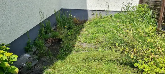 Abgeschlossene Stein-, Dach- und Fassadenreinigung im Lahn-Dill-Kreis (6)